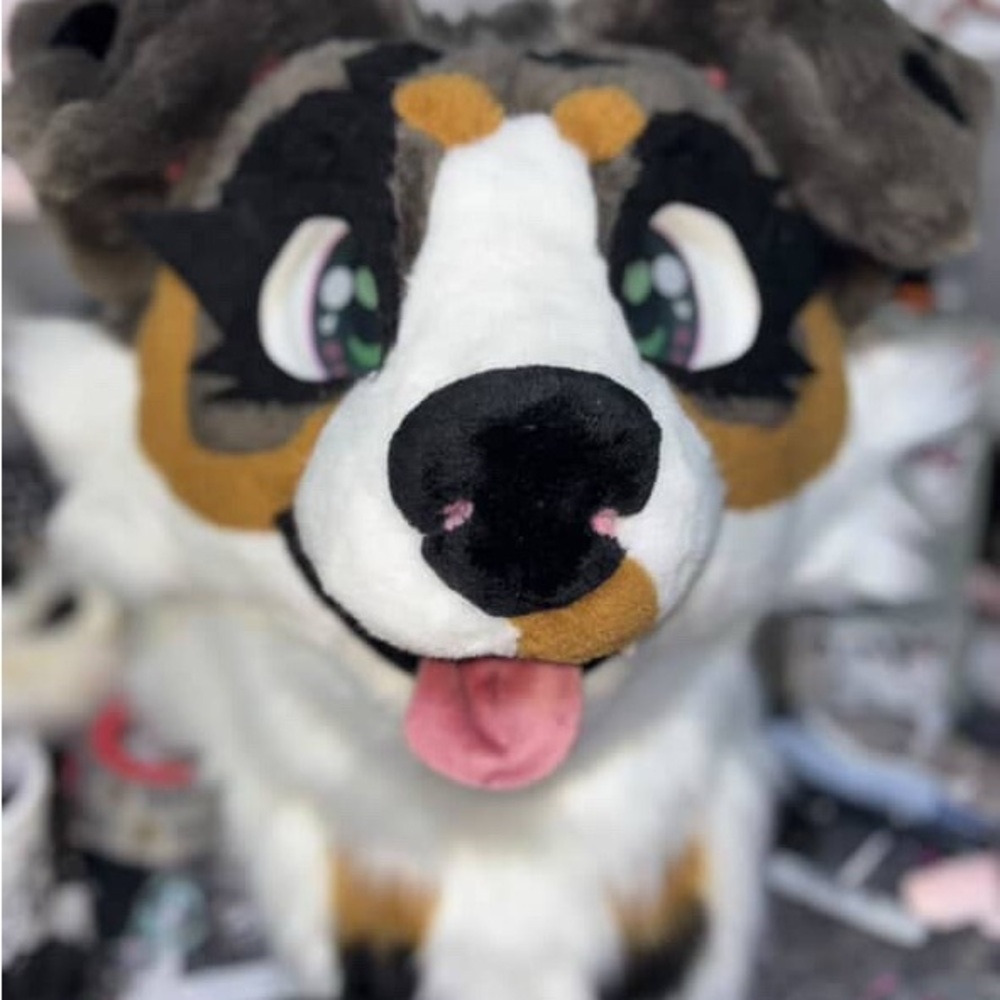 FURRY costume- Multicolor